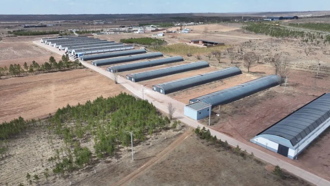 640 (3).jpeg 640 (3).jpeg