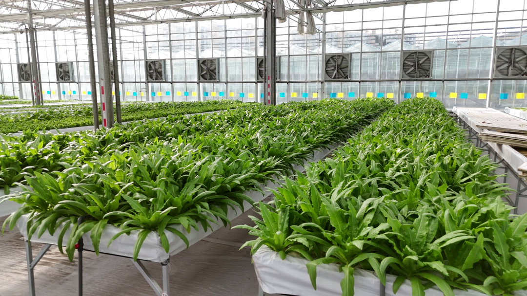 640 (4).png 640 (4).png