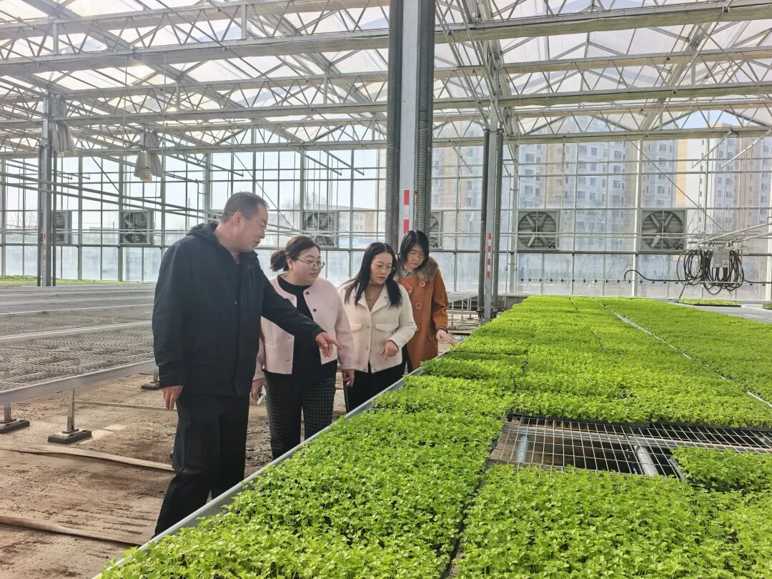 640 (16).jpeg 640 (16).jpeg