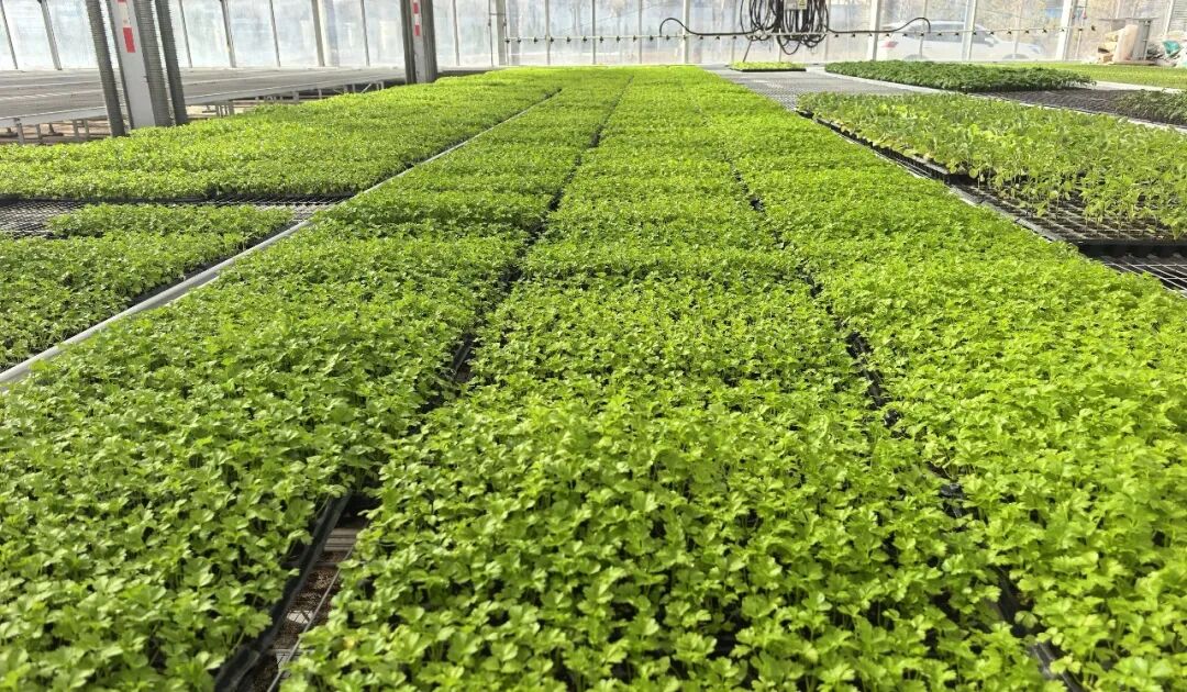 640 (22).jpeg 640 (22).jpeg