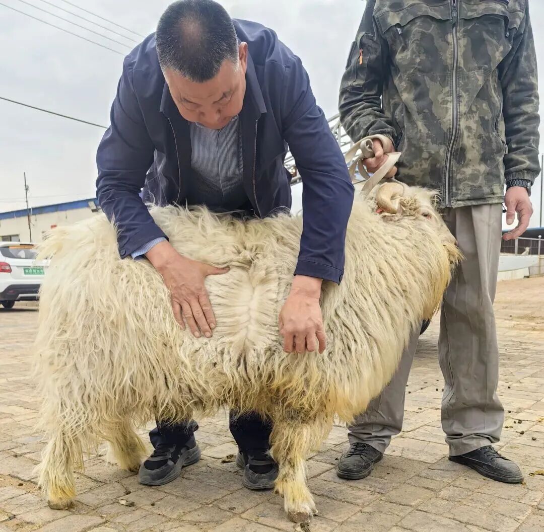 640 (2).jpeg 640 (2).jpeg