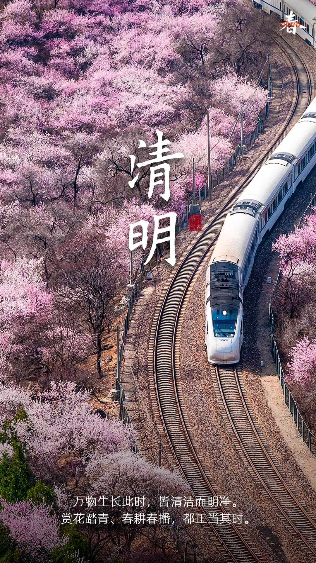 640 (8).jpeg
