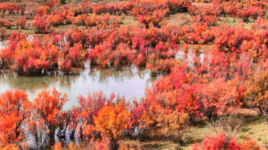 640 (2).png 640 (2).png