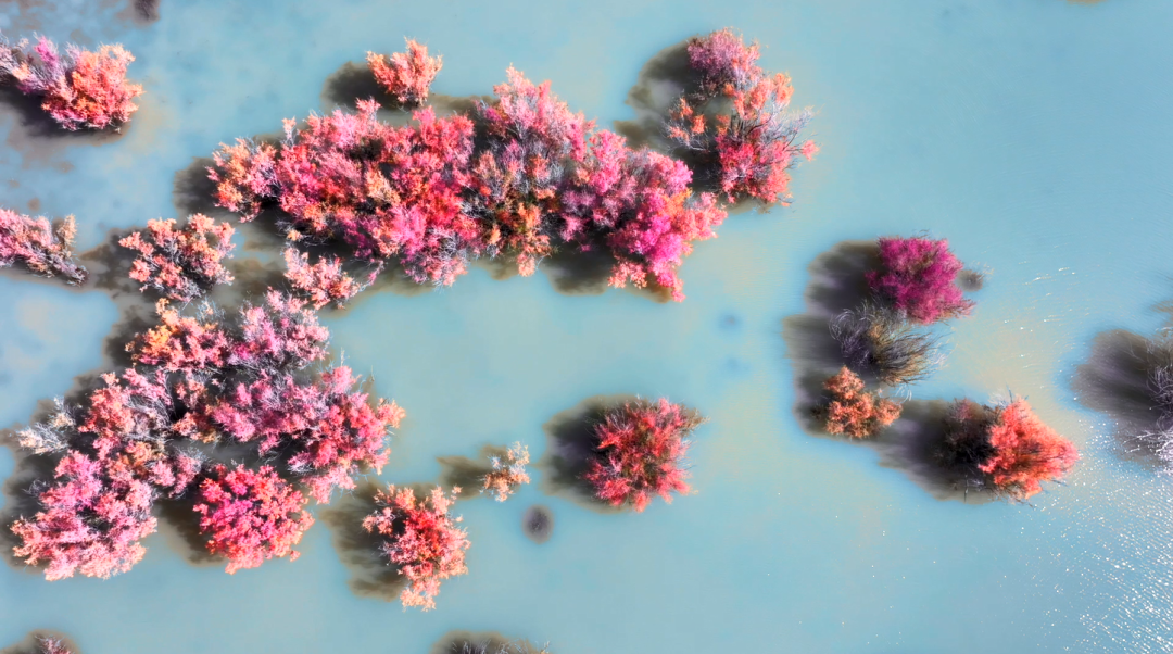 640 (3).png 640 (3).png